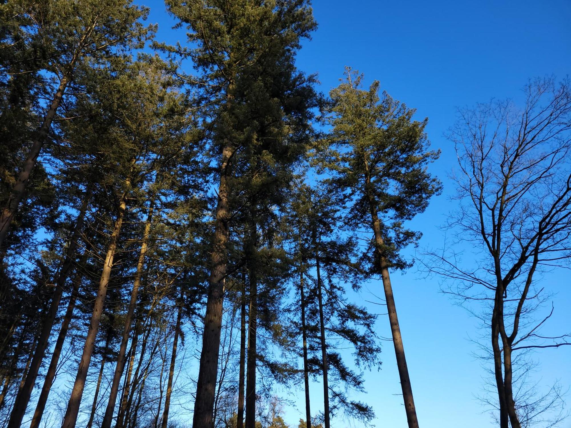 Secret Wellness Puur Natuur Holten Kültér fotó