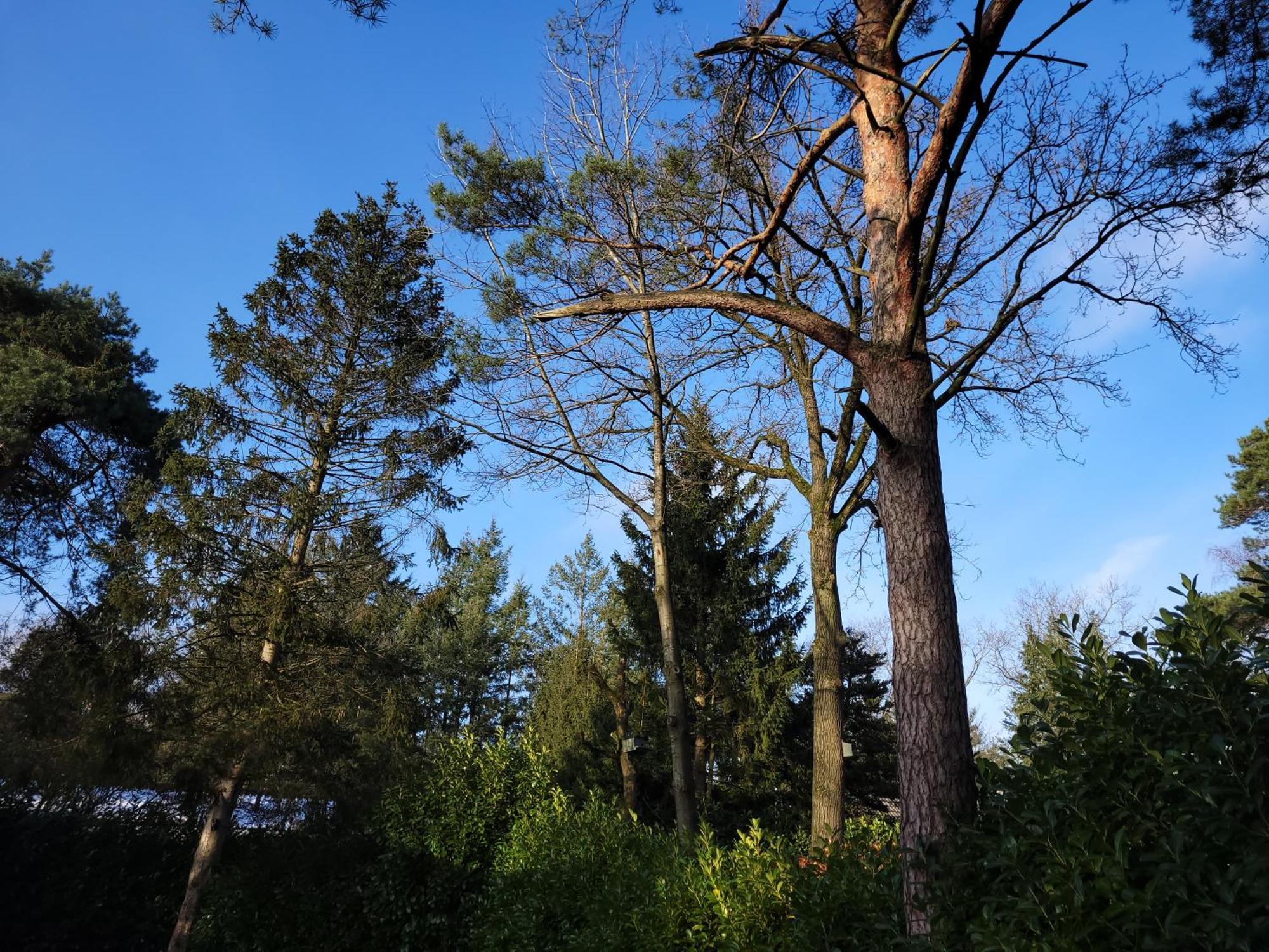Secret Wellness Puur Natuur Holten Kültér fotó